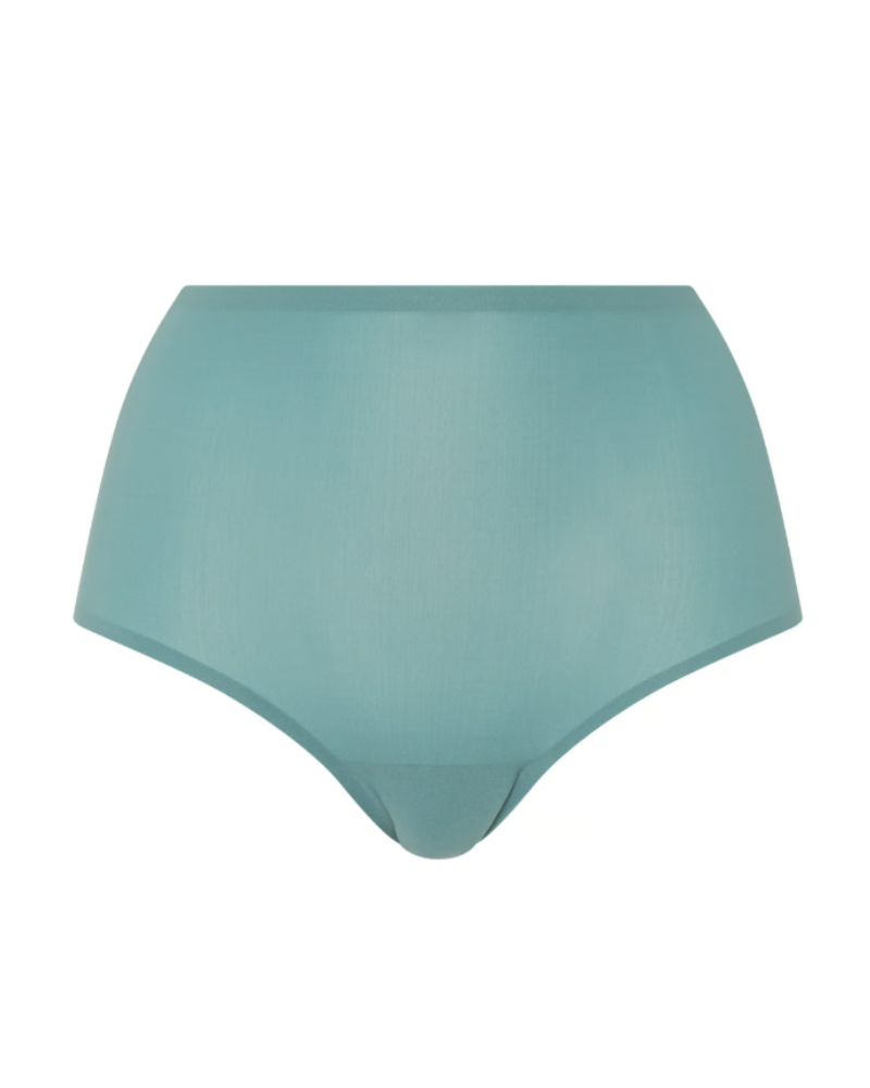 Chantelle Seamless One Size Fits All Full Brief
