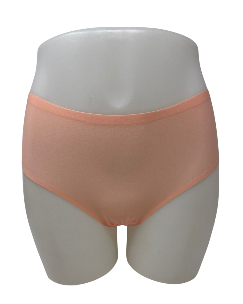 2644 Seamless One Size Fits All Hipster / Candelight Peach Myselflingerie.com