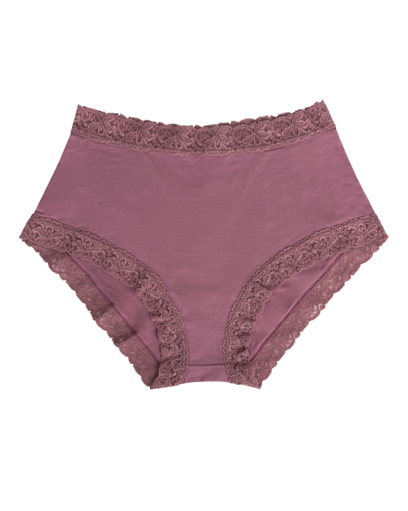 SL301PLS Mesa Rose Modal Lace Briefs Plus Sizes 3 Pack