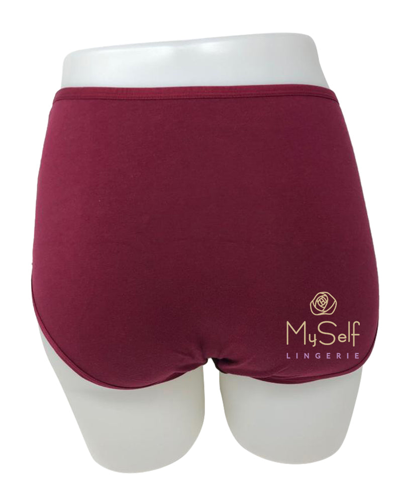 Gemsli 3319 Shimmer Design Cotton 3 Pack Briefs myselflingerie.com