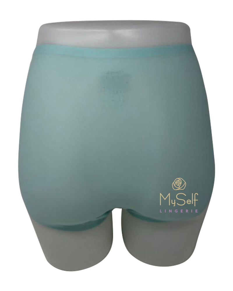 Chantelle 2647 Seamless One Size Fits All Full Brief MYSELFLINGERIE.COM