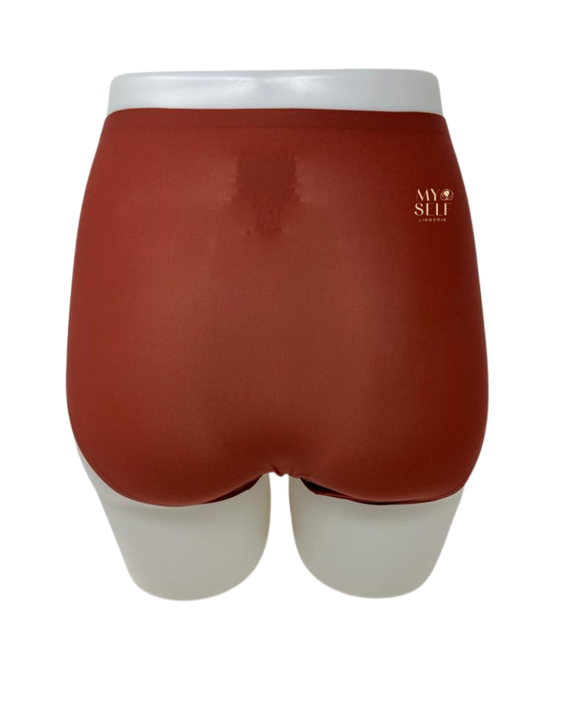 Chantelle 2647 Seamless One Size Fits All Full Brief MYSELFLINGERIE.COM