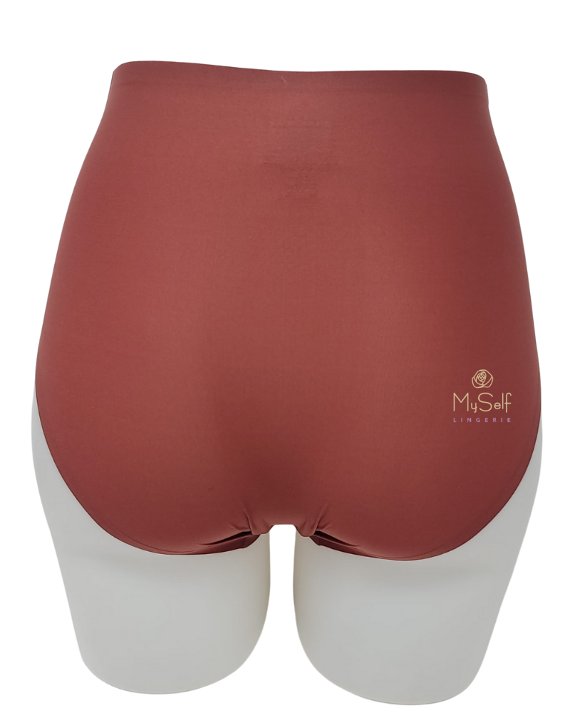 Chantelle 2647 Seamless One Size Fits All Full Brief MYSELFLINGERIE.COM