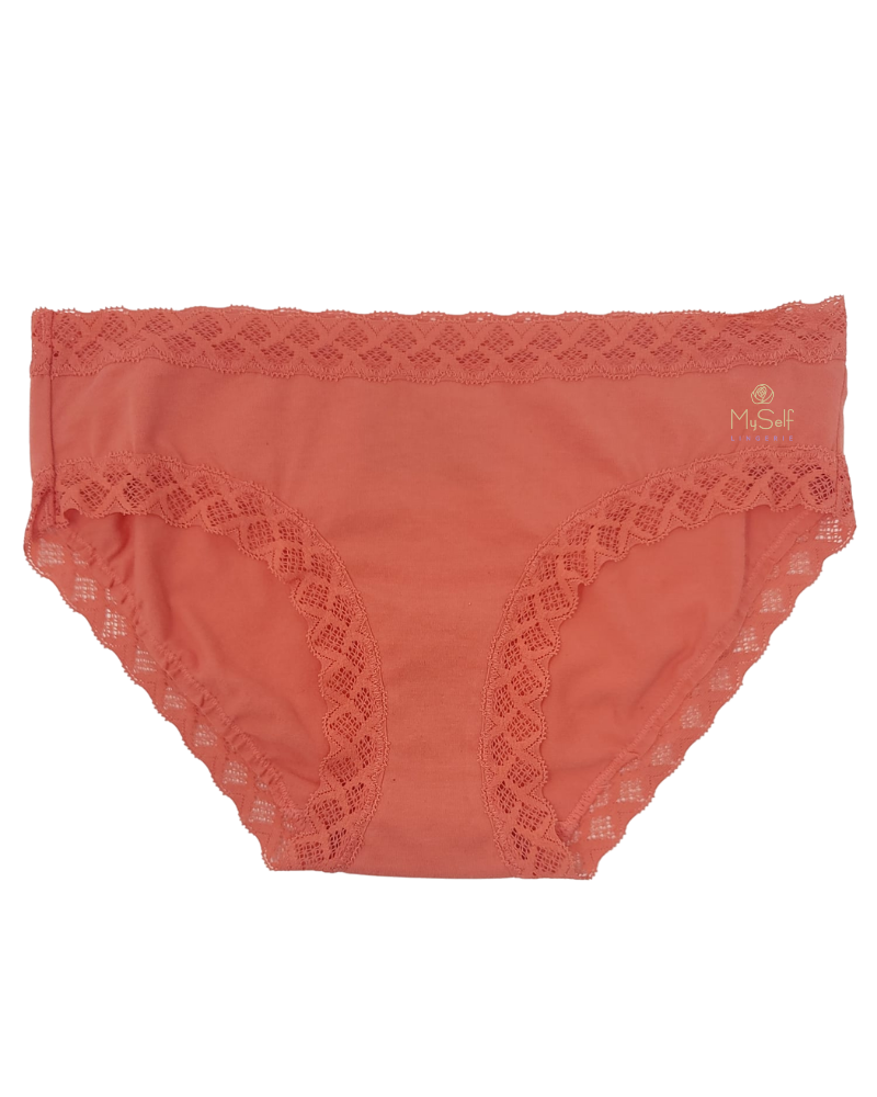 Natori 156058 Persimmon Bliss Girl Cotton Brief myselflingerie.com