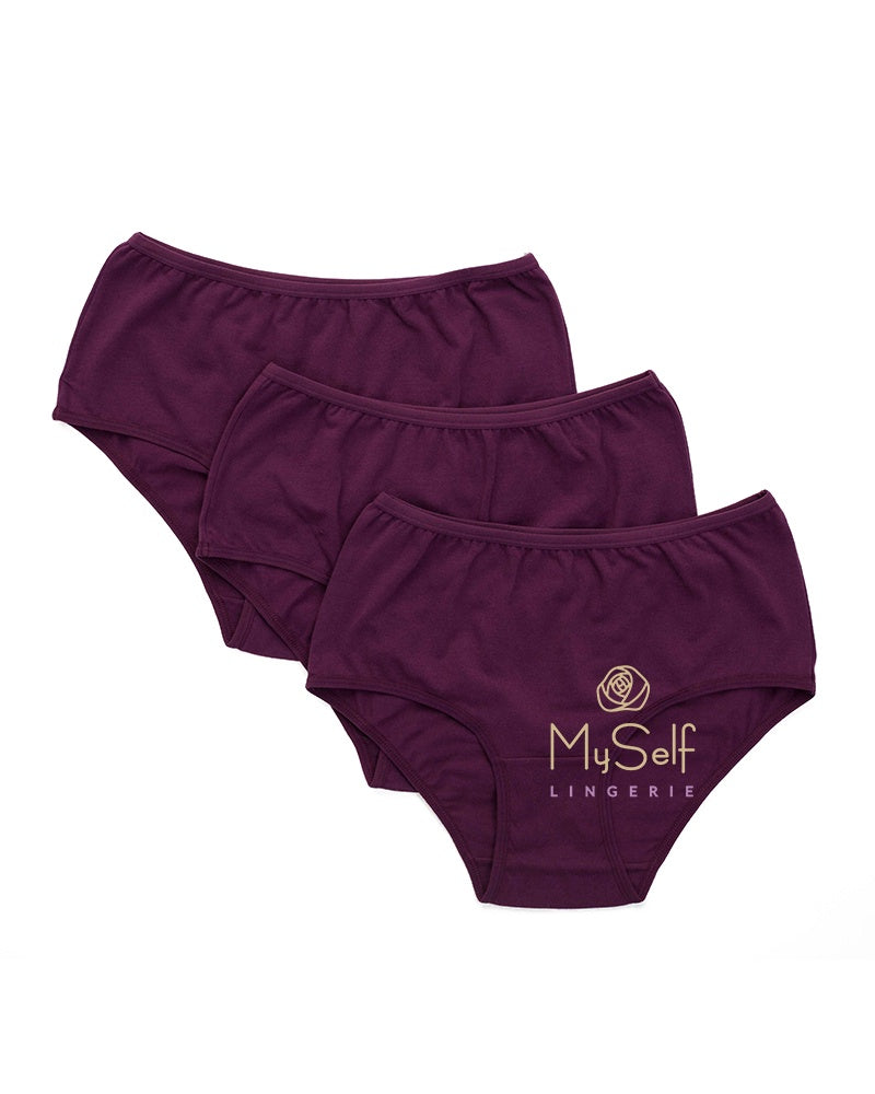 Gemsli 3105 Beige Hipsters 3 Pk. myselflingerie.com