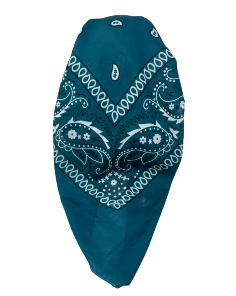 It's Younique Teal Paisley Bandanna Print Pre-Tied Open Back Bandanna with Velvet Grip
