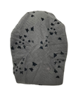 Ahead Black Flutterfield Tull Versatile Short Tails Adjustable Open Back Pre-Tied Bandanna