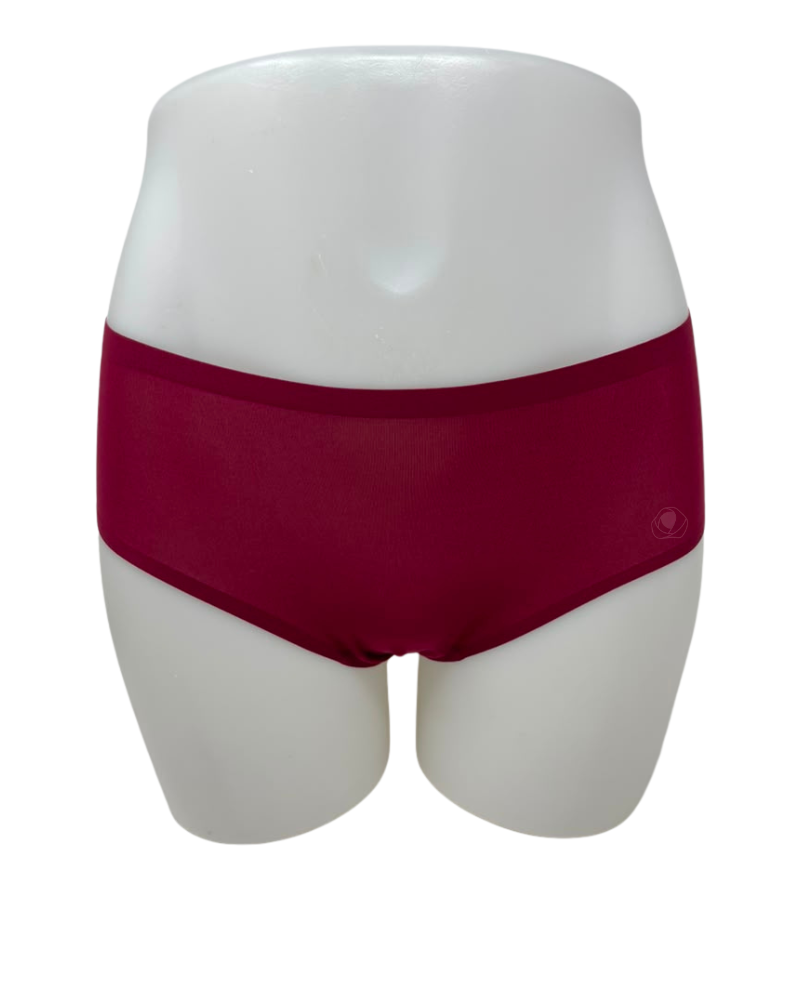 Chantelle Seamless One Size Fits All Hipster