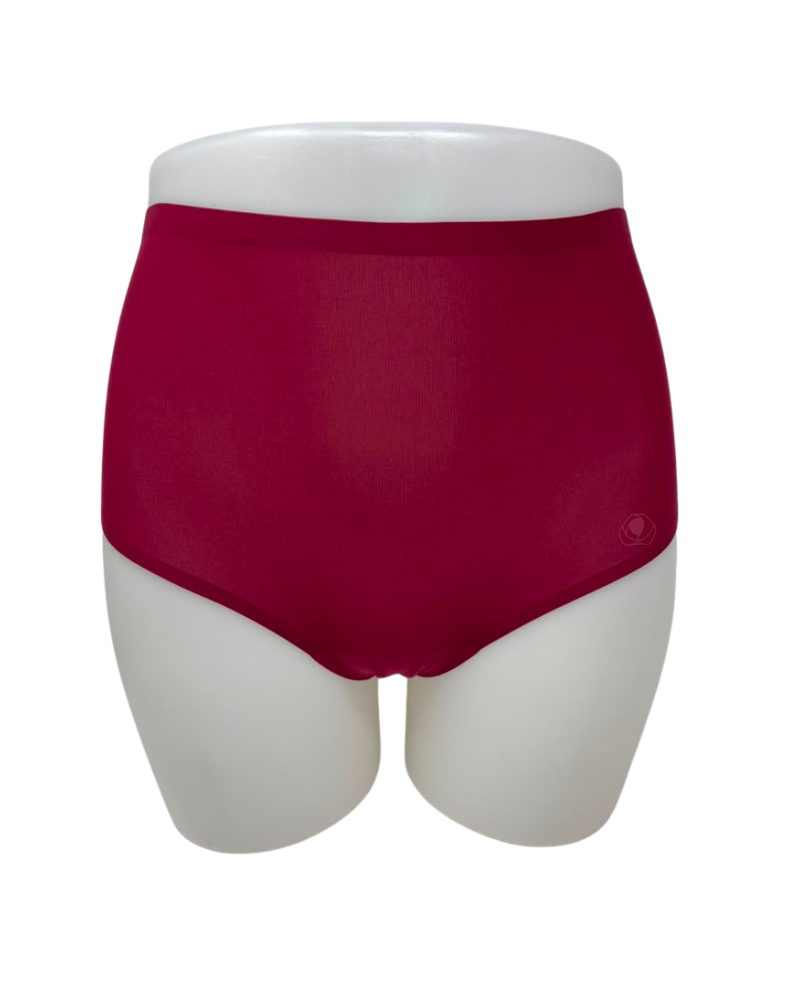 Chantelle Seamless One Size Fits All Full Brief