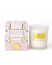 8 Oak Lane Frosted Sugarplum Soy Wax Candle