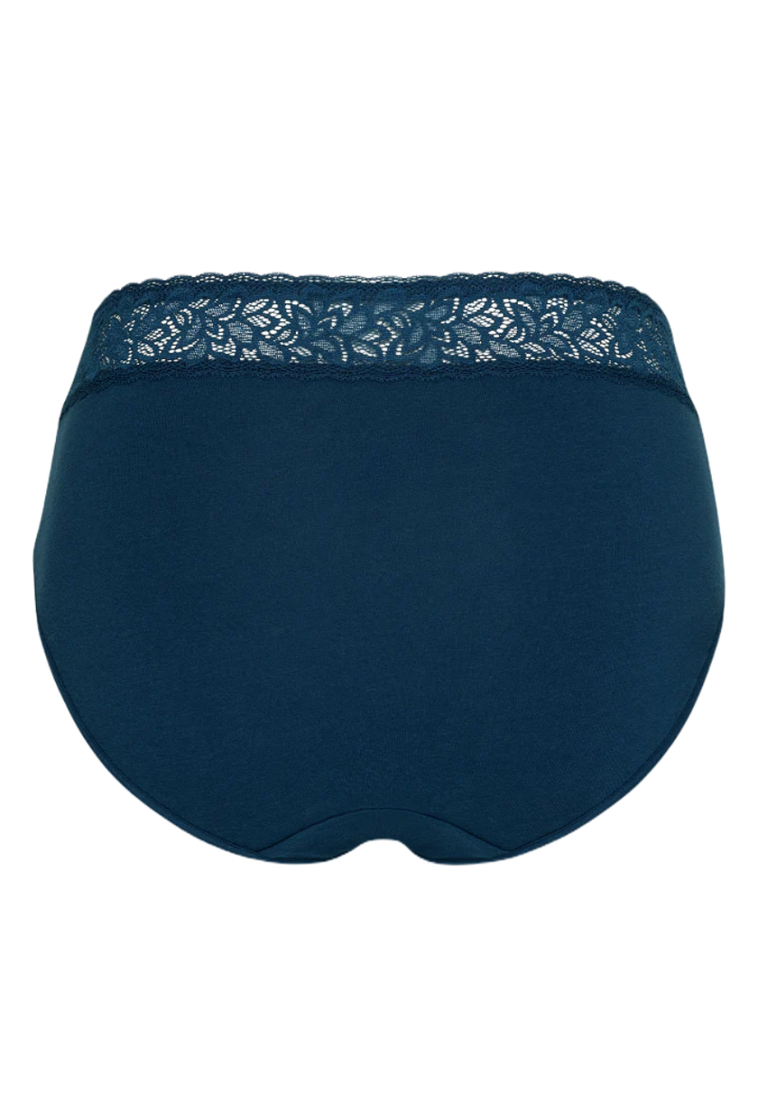 PT0026 Wild Ginger Cotton with Lace Hipsters 3 Pk Myselflingerie.com