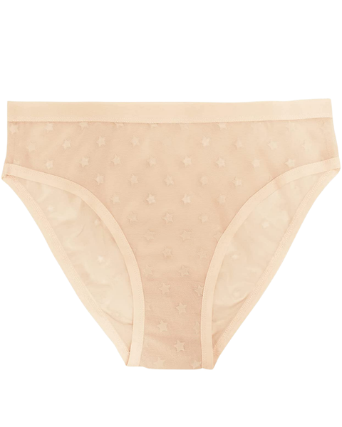 Love Libby 8175 Cameo Rose High Waisted Flocked Mesh Bikini Myselflingerie.com