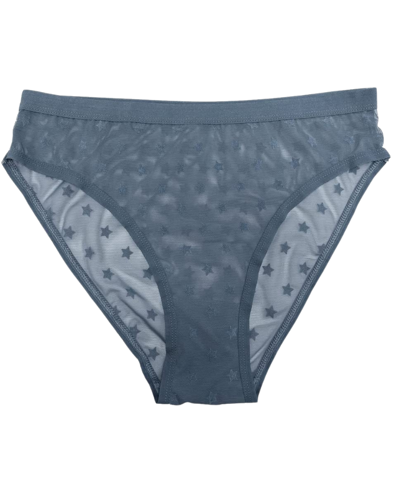 Love Libby 8175 Real Teal High Waisted Flocked Mesh Bikini Myselflingerie.com