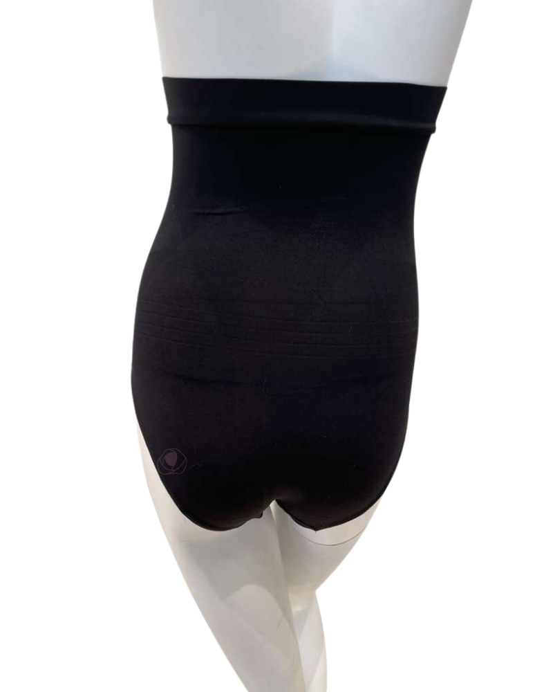 Body Beautiful 1419 Extra High Waist Control Brief 2 Pack Myselflingerie.com