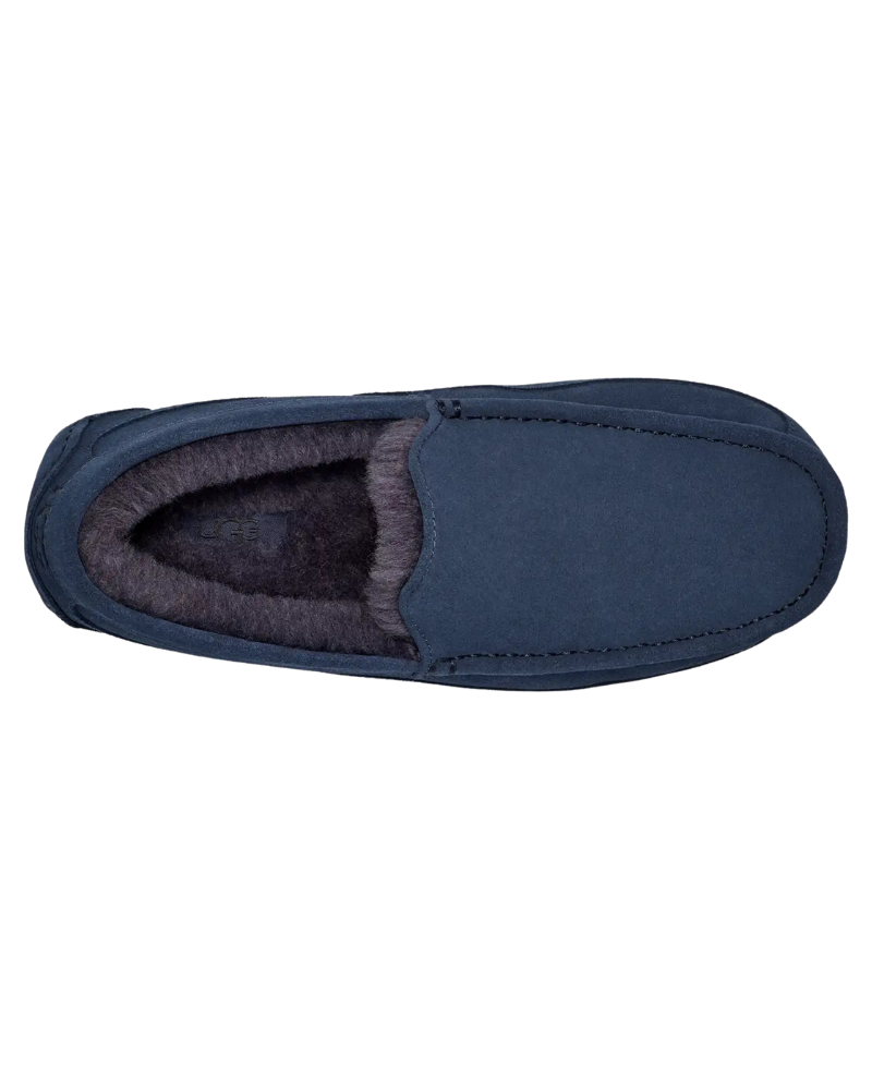 UGG 1101110W Deep Ocean Ascot Men's Slippers Myselflingerie.com