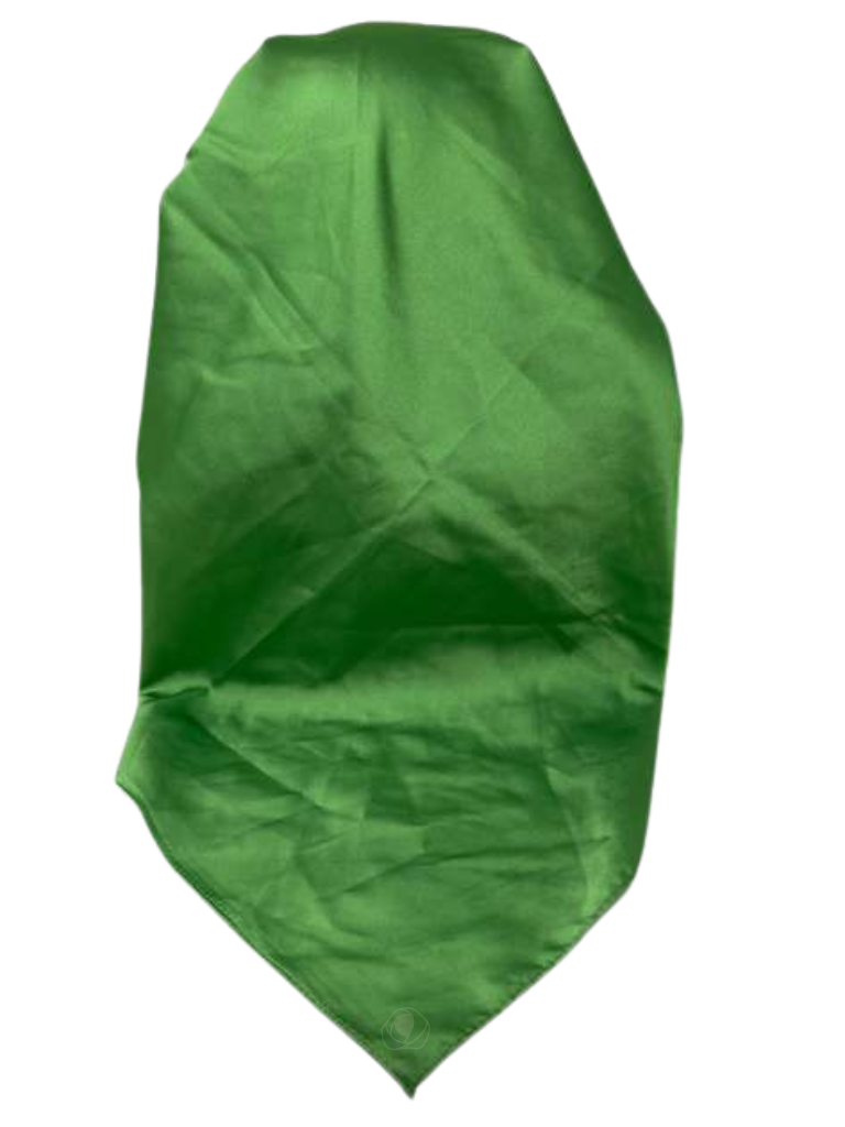 It's Younique OB-SOL-GN Solid Green Pre-Tied Open Back Bandanna with Velvet Grip Myselflingerie.com 