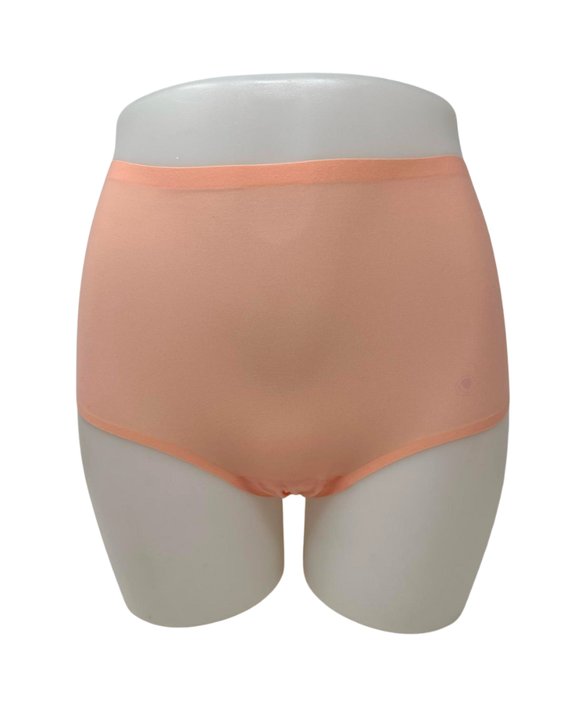 2647 Seamless One Size Fits All Full Brief