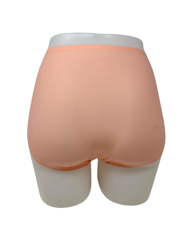 2647 Seamless One Size Fits All Full Brief