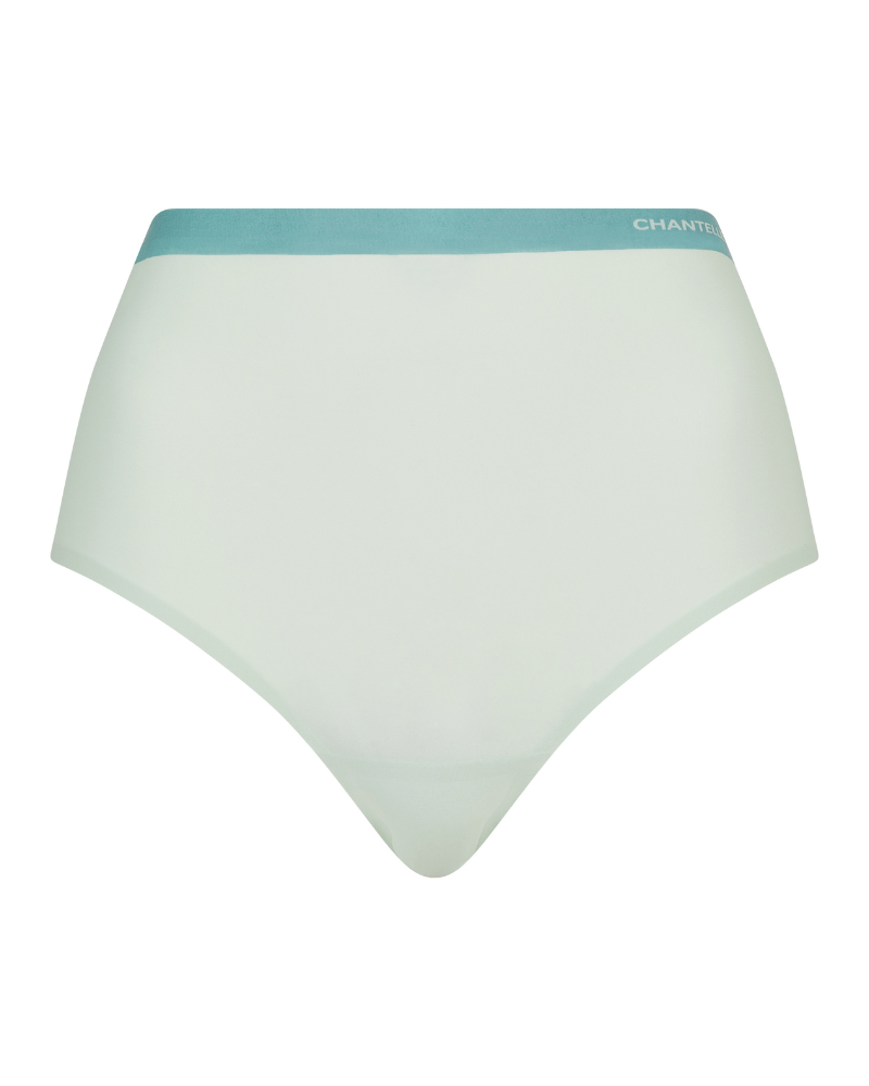 2647 Seamless One Size Fits All Full Brief