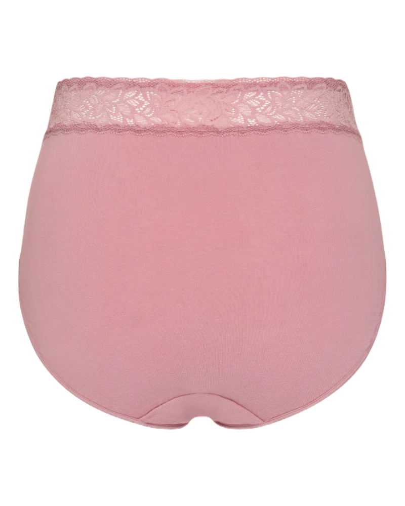 Gemsli PT0025 Wild Ginger Cotton & Lace Brief 3 Pk Myselflingerie.com