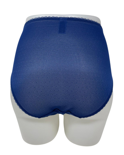 Wacoal 841186 Blue Depths Retro Chic Brief Myselflingerie.com