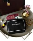 PPB Black Passport Pouch