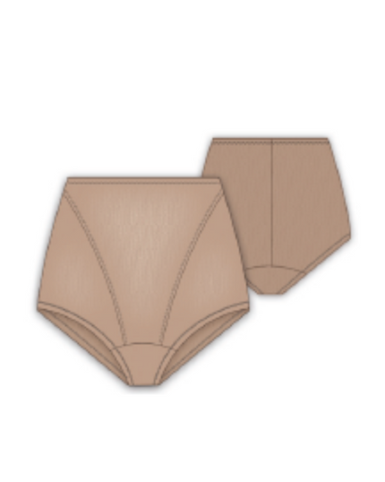 Gemsli SW0064 Beige Powermesh Control Brief myselflingerie.com
