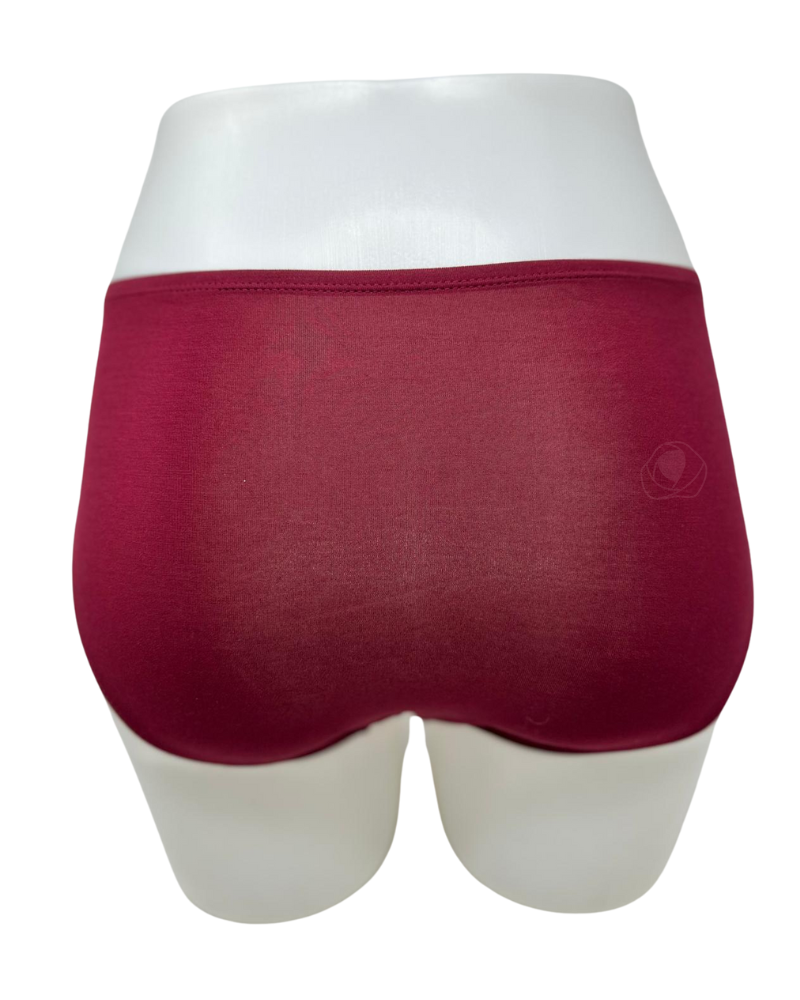 SHE S303 Cabernet Modal Bikinis with Elastic Waist 3 Pack myselflingerie.com