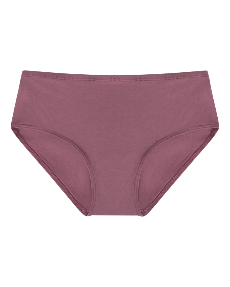 S301PLS Mesa Rose Modal Briefs with Elastic Waist Plus Sizes 3 Pack