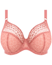 Elomi 8900 Rose Leopard Matilda Plunge Underwire Bra myselflingerie.com