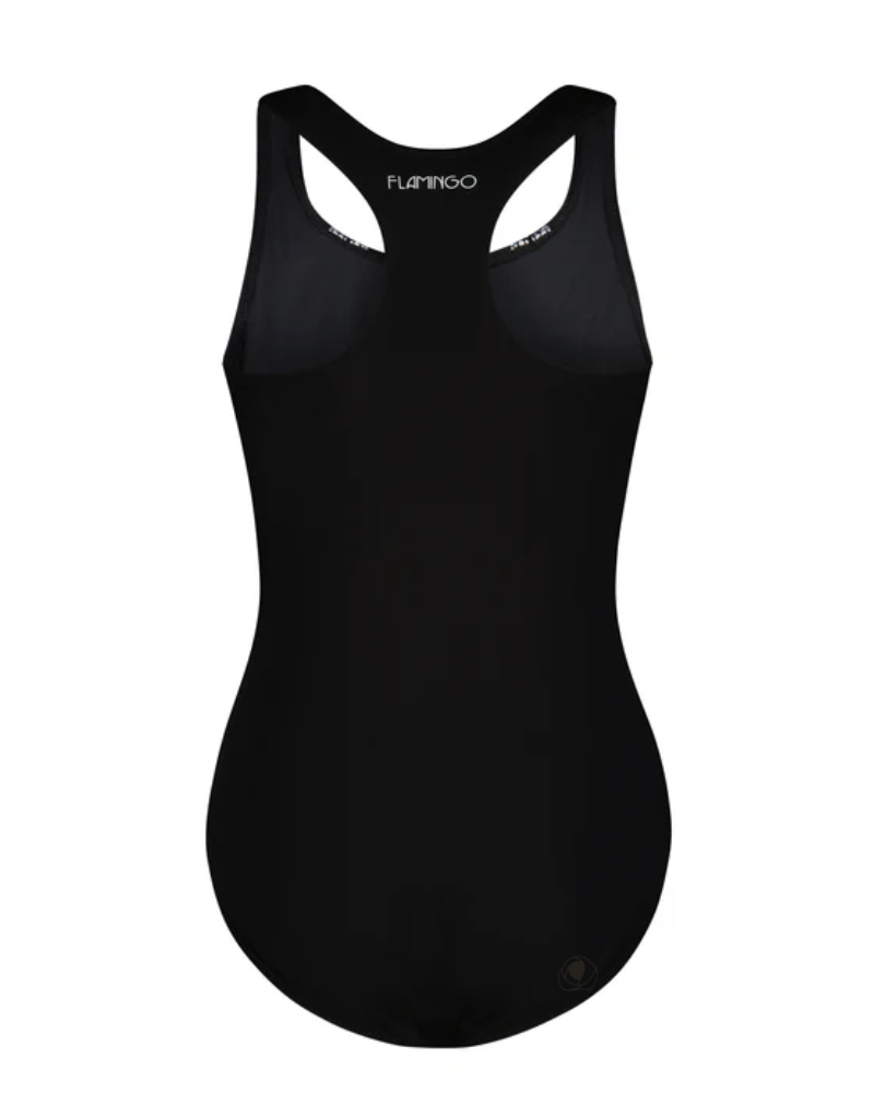 Flamingo 22FL031 Neon/Royal Vertical Stripe Black Bathing Suit myselflingerie.com