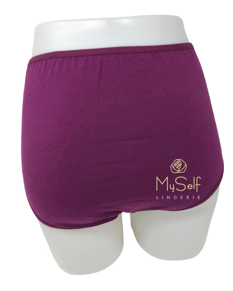 Gemsli 3314 Feathers Briefs 3 Pack myselflingerie.com