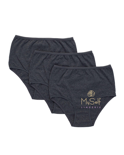 Gemsli 3305 Smoke Cotton Briefs 3 Pk. myselflingerie.com