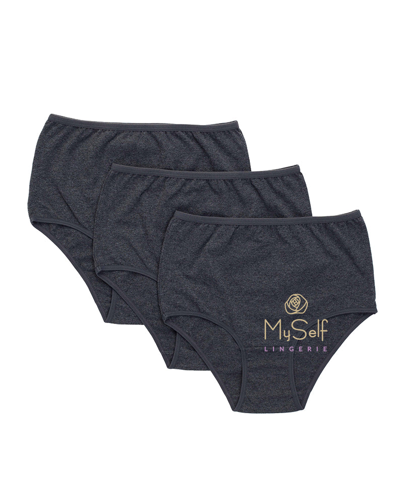 Gemsli 3305 Smoke Cotton Briefs 3 Pk. myselflingerie.com
