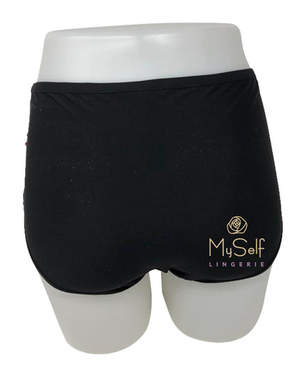 Chantelle 2938 Embroidered Lace Panel Brief MYSELFLINGERIE.COM