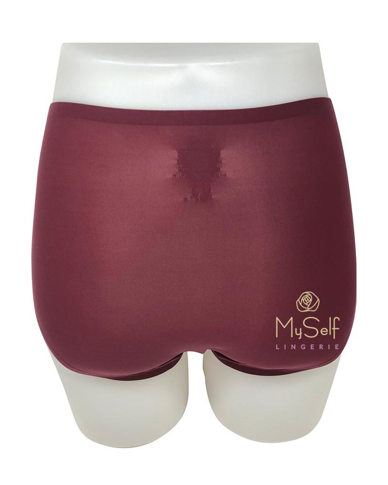 Chantelle 2647 Seamless One Size Fits All Full Brief MYSELFLINGERIE.COM