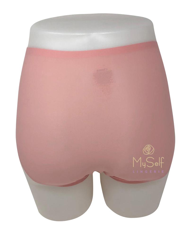 Chantelle 2647 Seamless One Size Fits All Full Brief MYSELFLINGERIE.COM