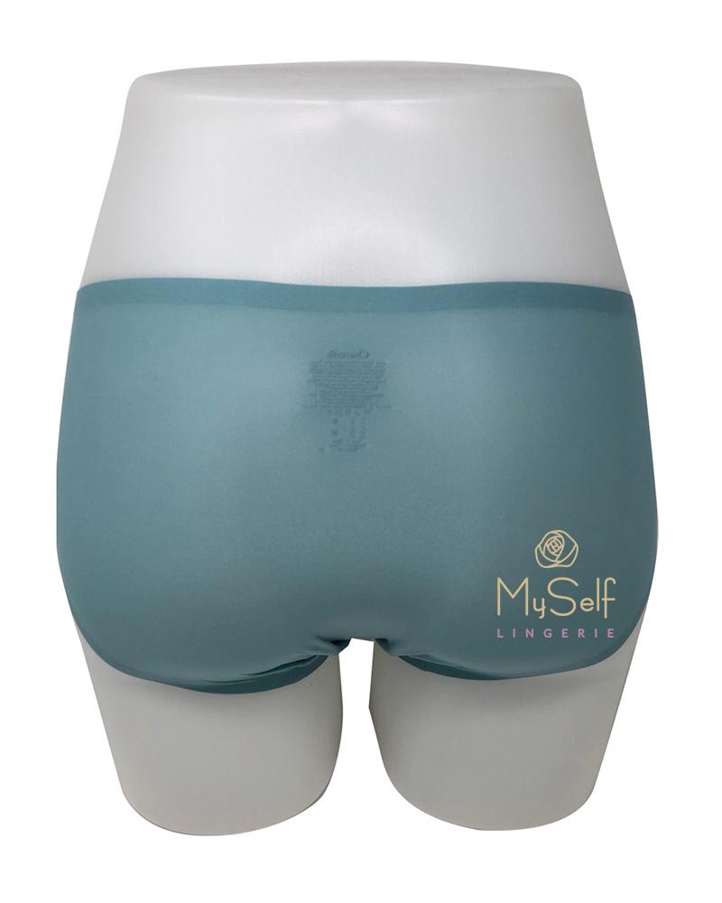Chantelle 2644 Seamless One Size Fits All Hipster myselflingerie.com