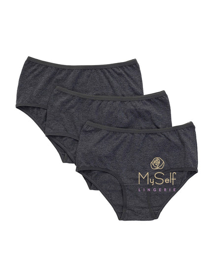 Gemsli 3105 Smoke Hipsters 3 Pk. myselflingerie.com