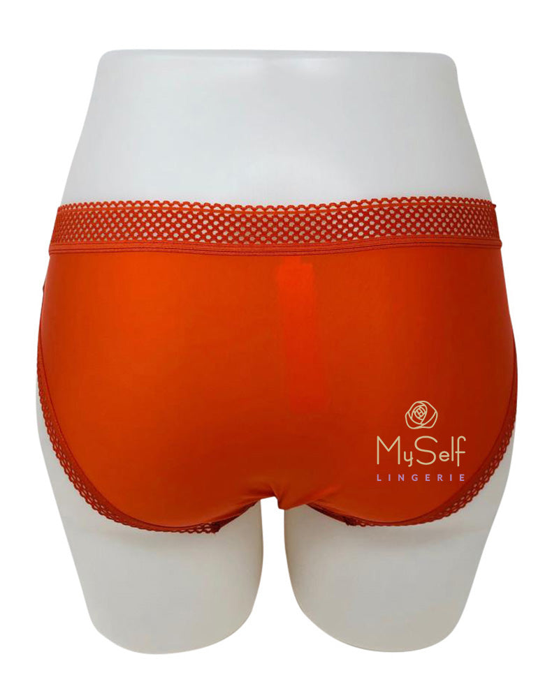 Chantelle Spirit Lace and Mesh Bikini