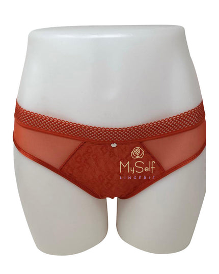 Chantelle 11A3 Spirit Lace and Mesh Bikini myselflingerie.com