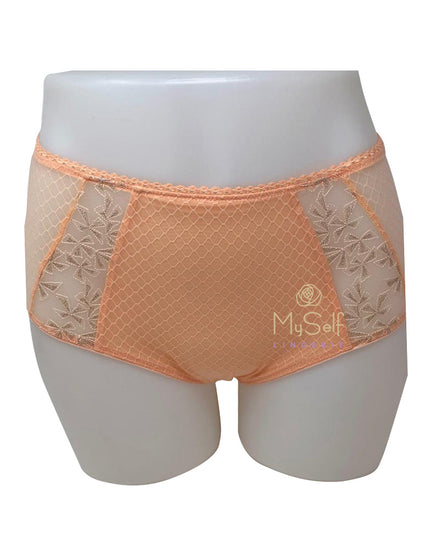 Chantelle 13A8 Instants Lace Brief myselflingerie.com