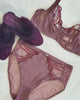Wacoal 855304 Evocative Edge Lace Marron Demi Underwire Bra myselflingerie.com