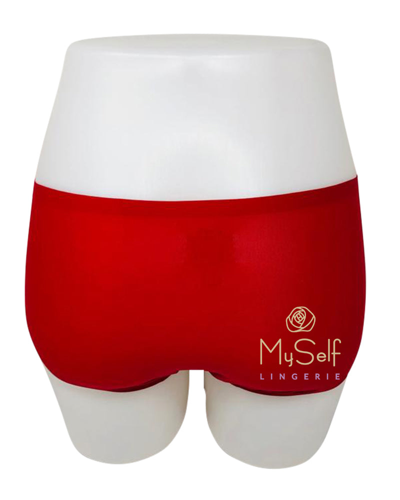 Chantelle 2644 Seamless One Size Fits All Hipster myselflingerie.com