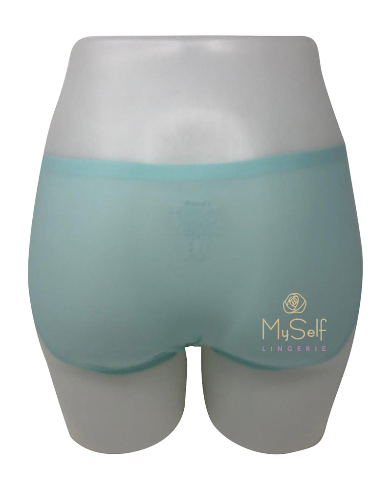 Chantelle 2644 Seamless One Size Fits All Hipster myselflingerie.com