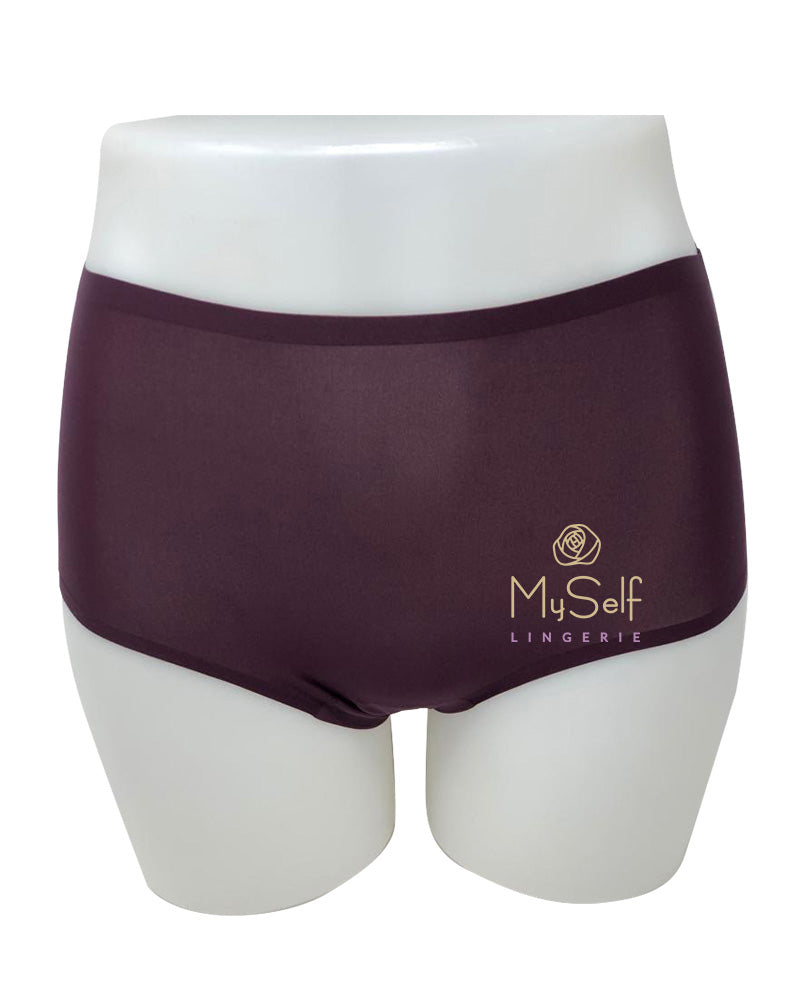 Chantelle 2647 Seamless One Size Fits All Full Brief MYSELFLINGERIE.COM