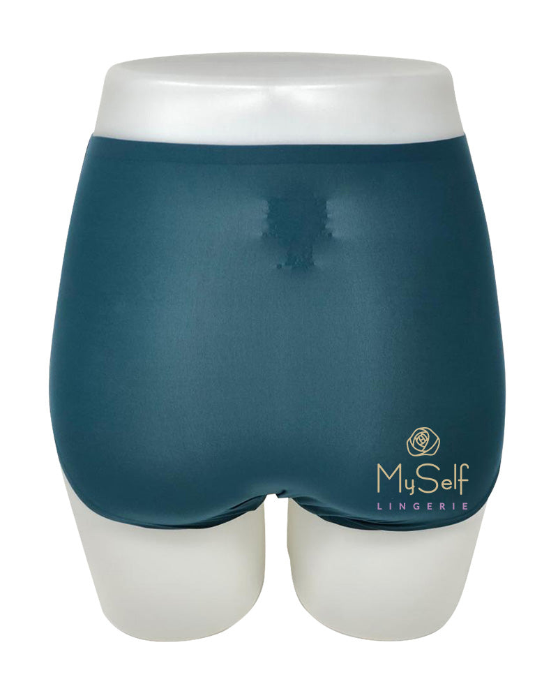 Chantelle 2647 Seamless One Size Fits All Full Brief MYSELFLINGERIE.COM