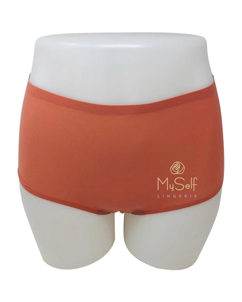 Chantelle 2647 Seamless One Size Fits All Full Brief MYSELFLINGERIE.COM