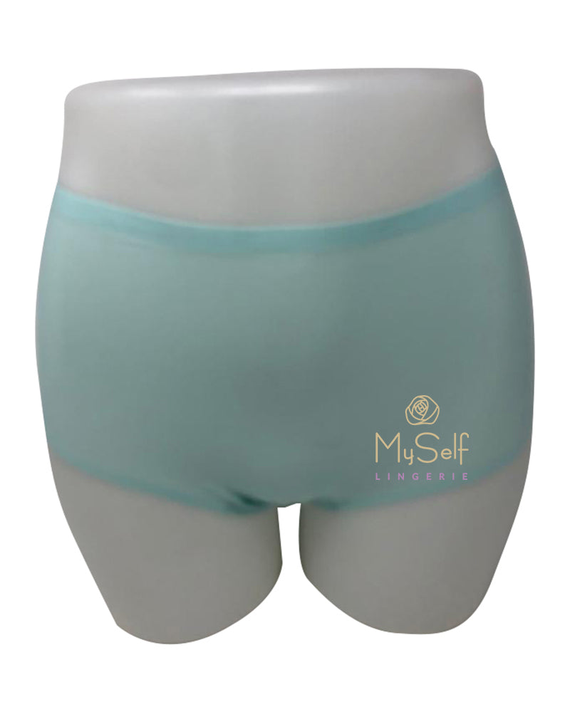 Chantelle 2647 Seamless One Size Fits All Full Brief MYSELFLINGERIE.COM