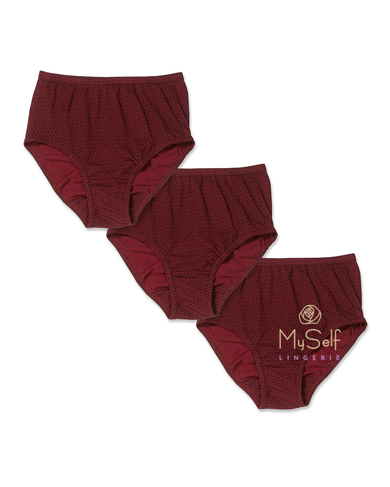 Valair 2660 3 Pack Cotton Briefs myselflingerie.com